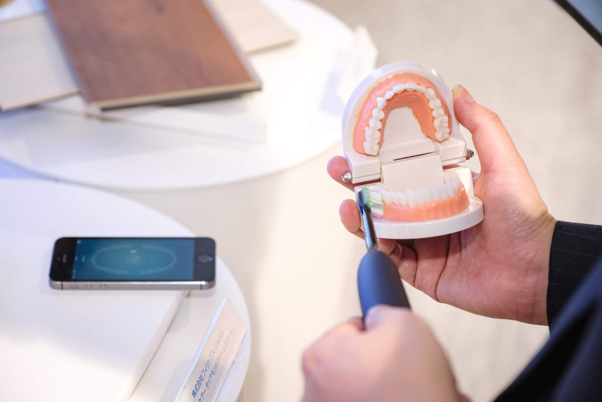 歯の模型と電動歯ブラシ